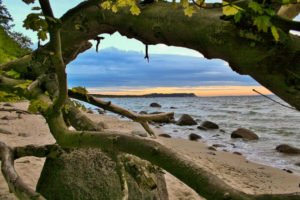 Göhren Strand im Mai